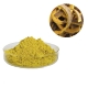 cosmetic grade phellodendron amurense bark extract berberine supplier